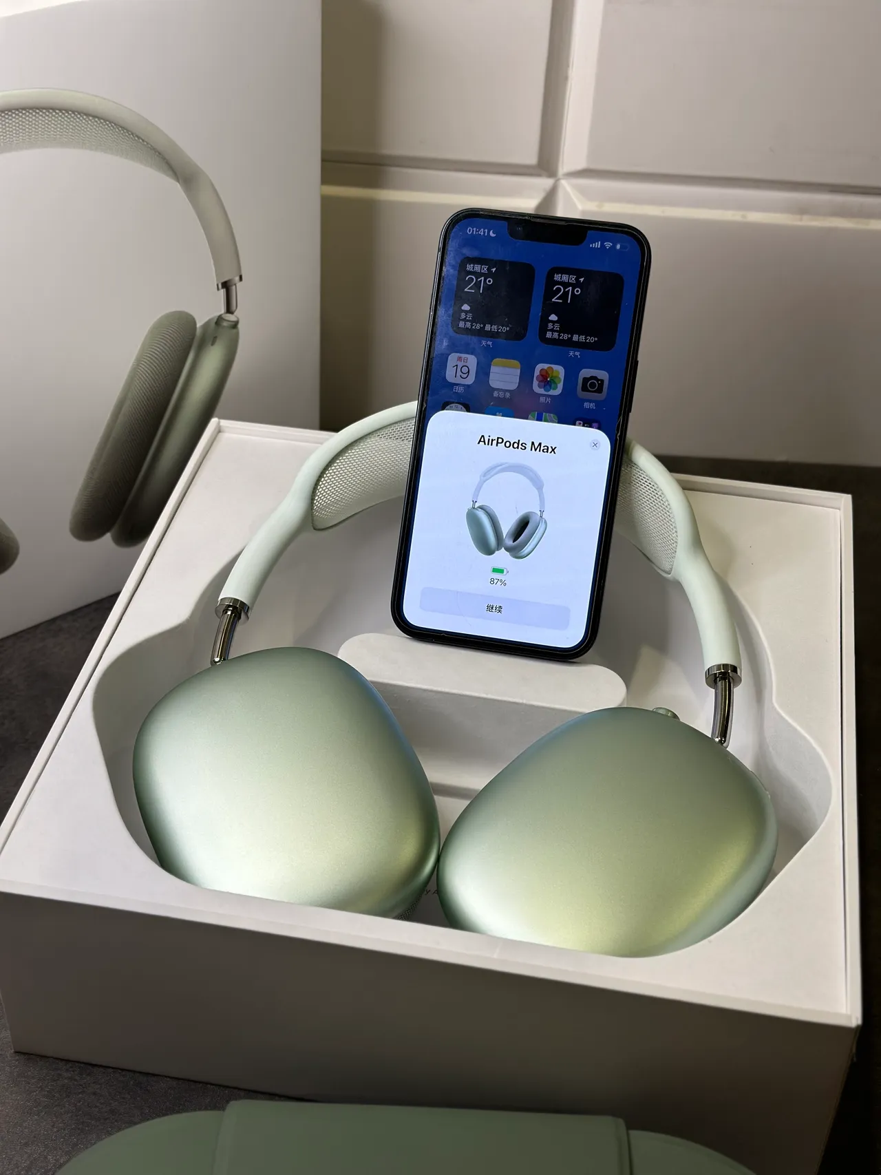 Apple AirPods Max Sage Green Casque supra-auriculaire 7