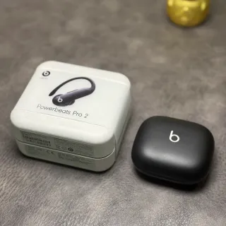Beats Powerbeats Pro 2 Black Sports Earphones
