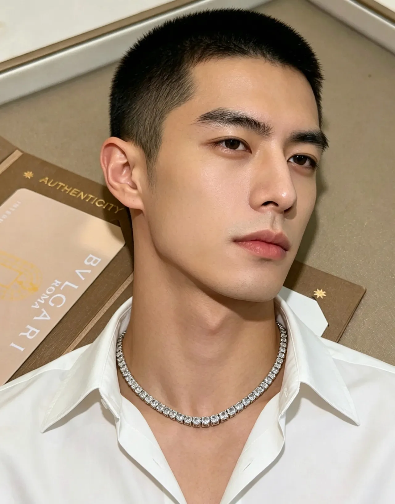 Bvlgari 双排镶钻项链 5