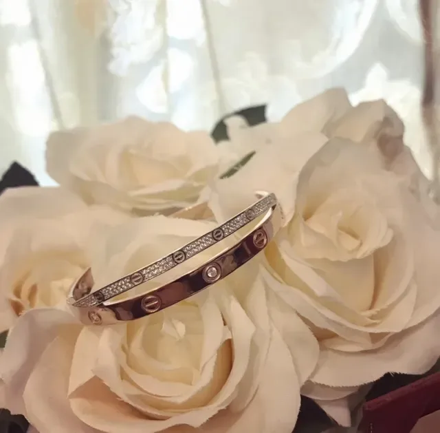 Cartier Love Rose Gold Pavé Diamond Screw Motif Bracelet 5