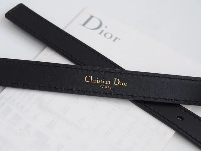 Dior Logo Buckle حزام جلد أسود 2