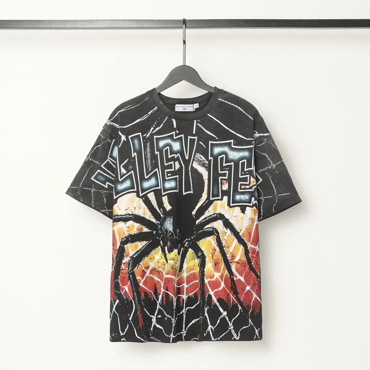 Distressed Black Oversized Graphic Spider Web T-Shirt 2