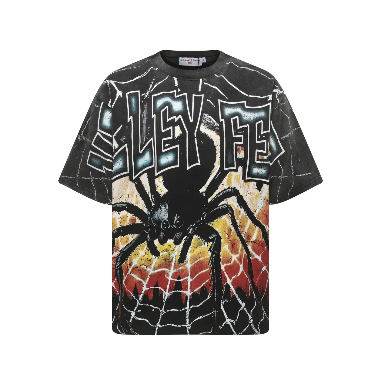 Distressed Black Oversized Graphic Spider Web T-Shirt 3