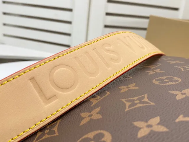 Louis Vuitton বাদামি বেইজ মোনোগ্রাম ক্যানভাস স্লাউচি হোবো সিলুয়েট হ্যান্ডব্যাগ 4
