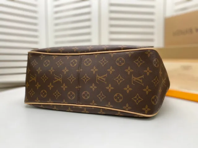 Louis Vuitton বাদামি বেইজ মোনোগ্রাম ক্যানভাস স্লাউচি হোবো সিলুয়েট হ্যান্ডব্যাগ 7