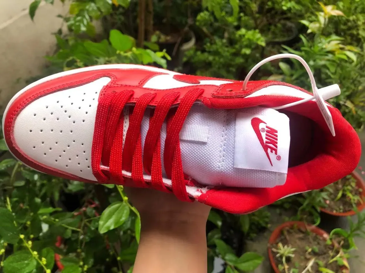 Nike Dunk Low Red and White Lifestyle Sneakers 4