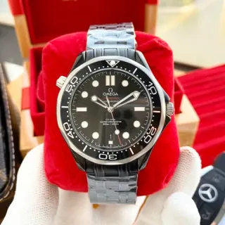 Omega Seamaster Professional Black Dial Stainless Steel Mechanical Watch