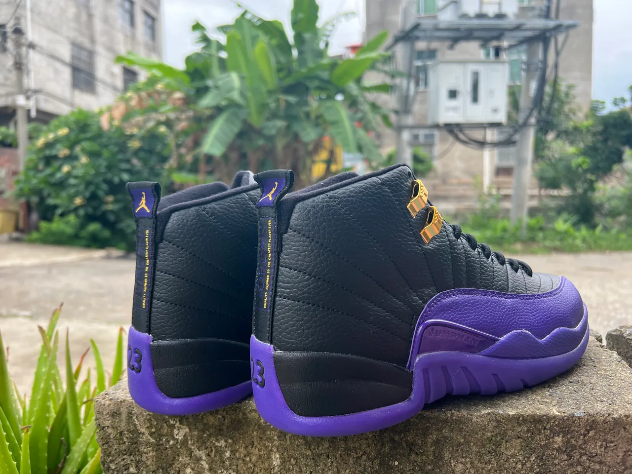 Air Jordan 12 أسود بنفسجي ذهبي أحذية كرة السلة 3