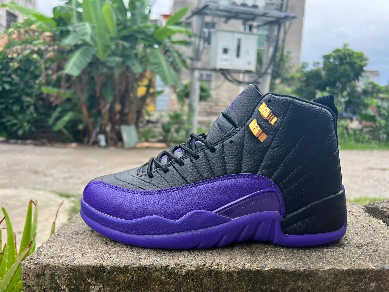 Air Jordan 12 أسود بنفسجي ذهبي أحذية كرة السلة 4