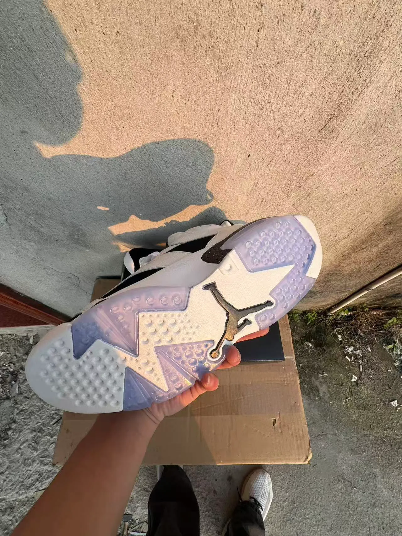 Zapatillas de baloncesto Air Jordan 6 en blanco y negro con entresuela moteada 6