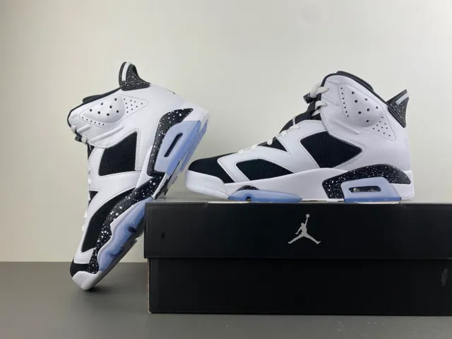 Zapatillas de baloncesto Air Jordan 6 con entresuela moteada en blanco y negro 14