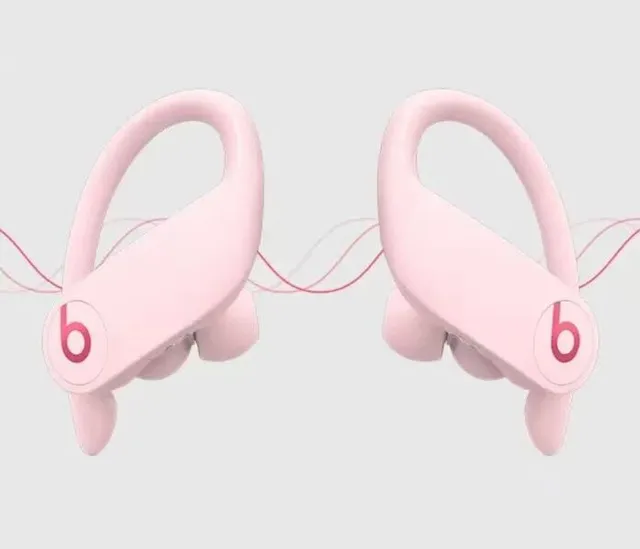 Beats Powerbeats Pro वायरलेस स्पोर्ट्स ईयरफोन्स 24