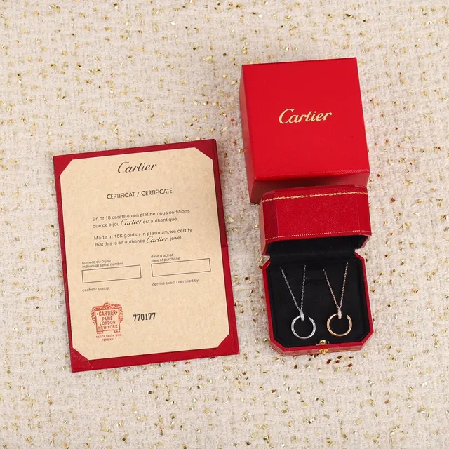 Cartier Juste un Clou Open Circle Diamond Pendant Necklace 5