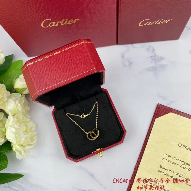 Cartier Love Interlocking Double-Ring Silver Necklace 9