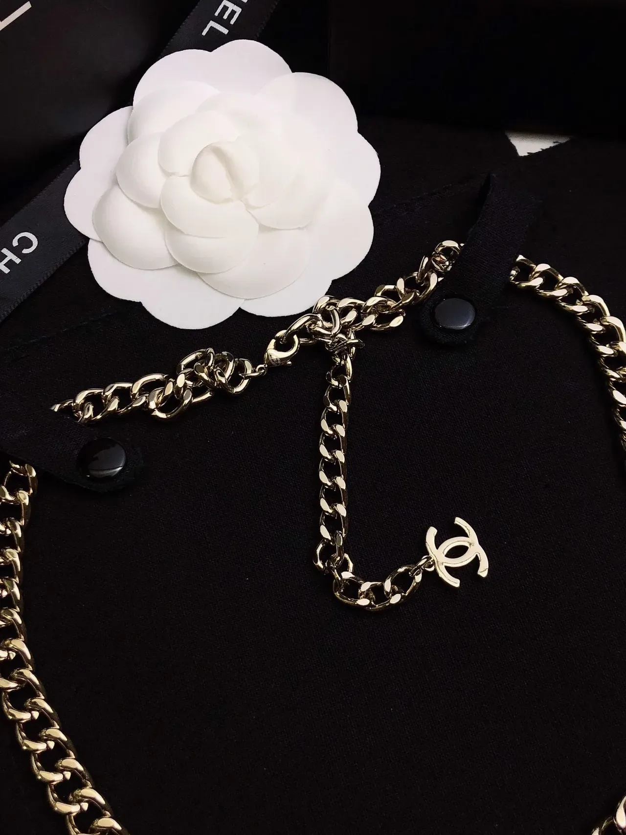 Chanel Logo Pendant Necklace Silver Black Chunky Curb Chain Vertical Necklace 3