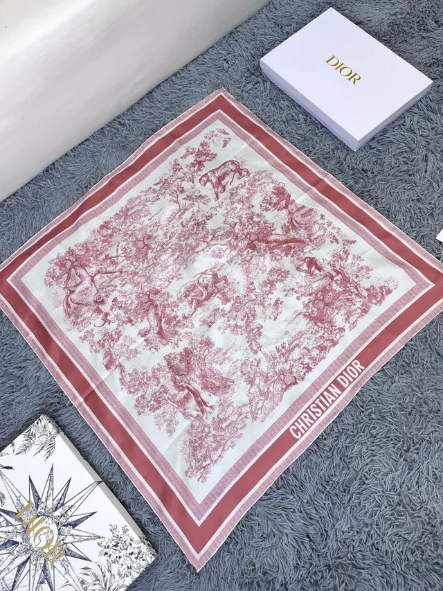 Dior Toile Print and Striped Border Silk Scarf 6