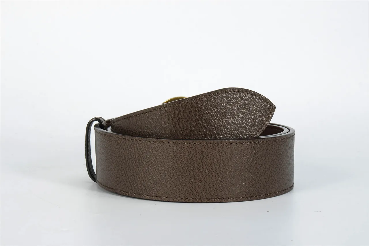 Gucci GG Marmont 棕色压纹皮革腰带 3