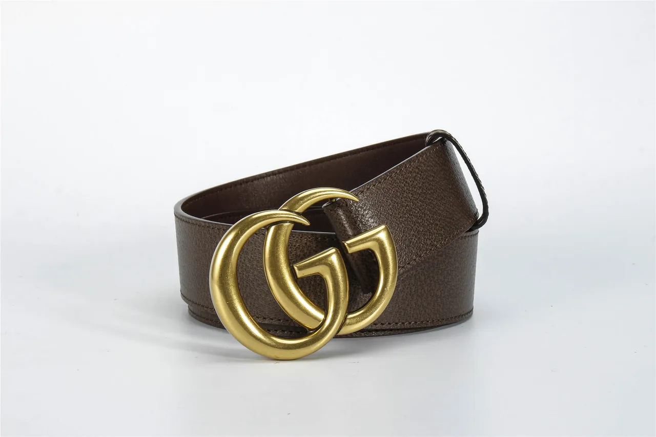 Gucci GG Marmont 棕色压纹皮革腰带 4
