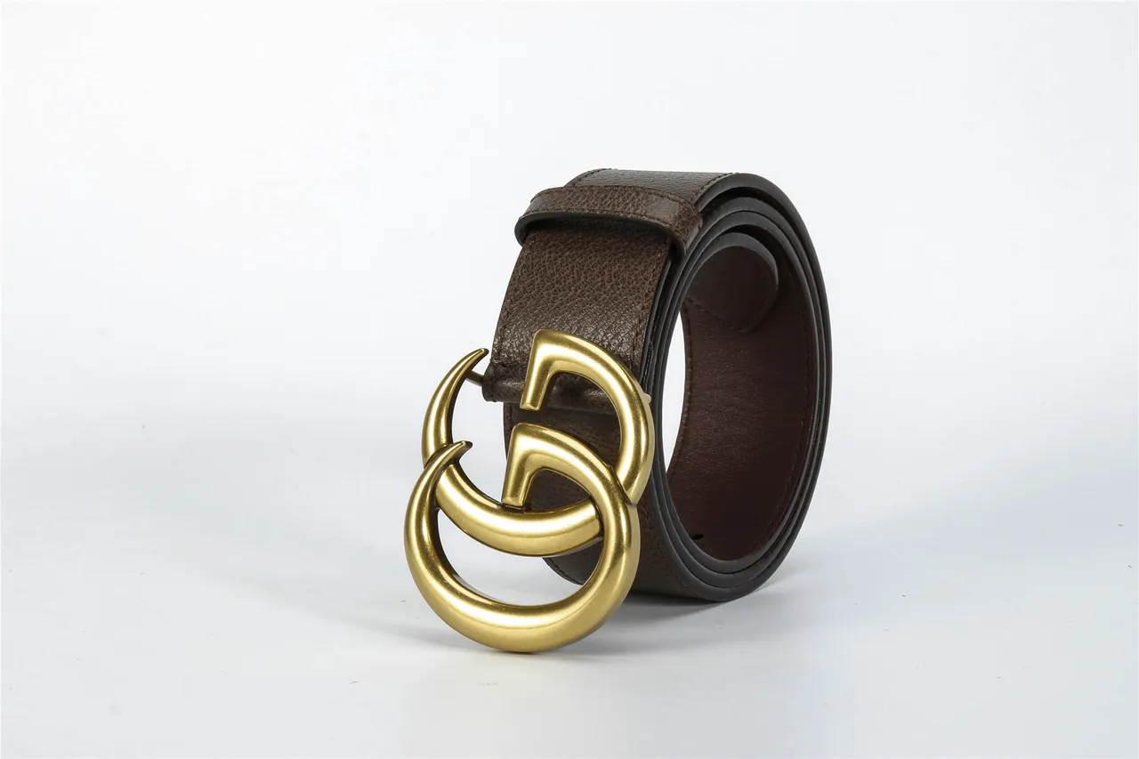 Gucci GG Marmont 棕色压纹皮革腰带 7