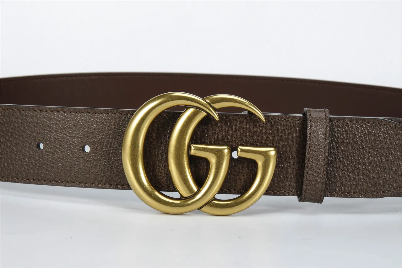 Gucci GG Marmont 棕色压纹皮革腰带 9