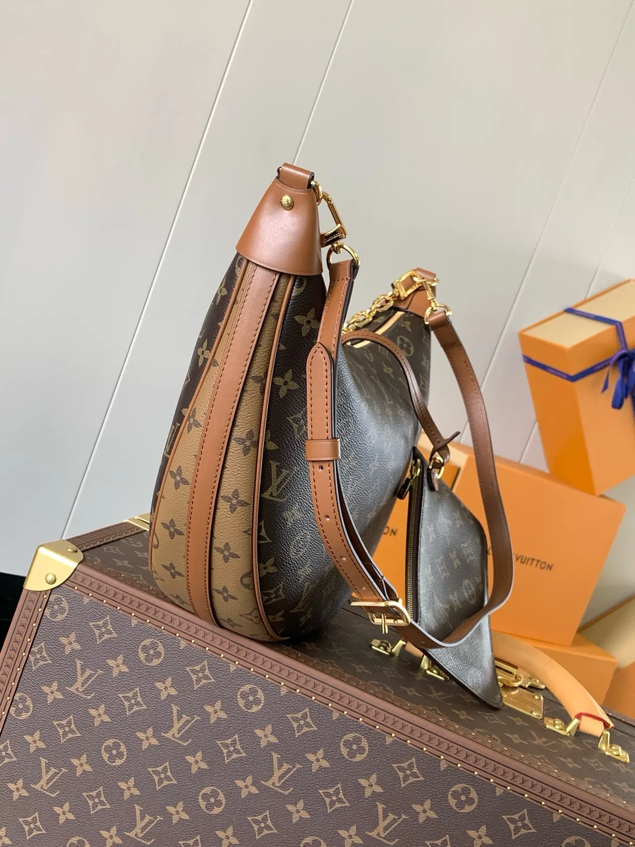 Louis Vuitton Lua Crescente Silhueta Monograma Marrom Bege Bolsa de Corrente 7