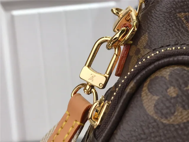 Louis Vuitton Multi Pochette Accessoires Sac à bandoulière marron doré toile monogrammée avec sangle de chaîne 14