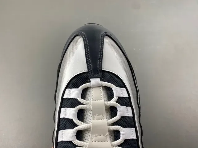 Nike Air Max 95 Metallic Silver and Black Lifestyle Sneakers 5