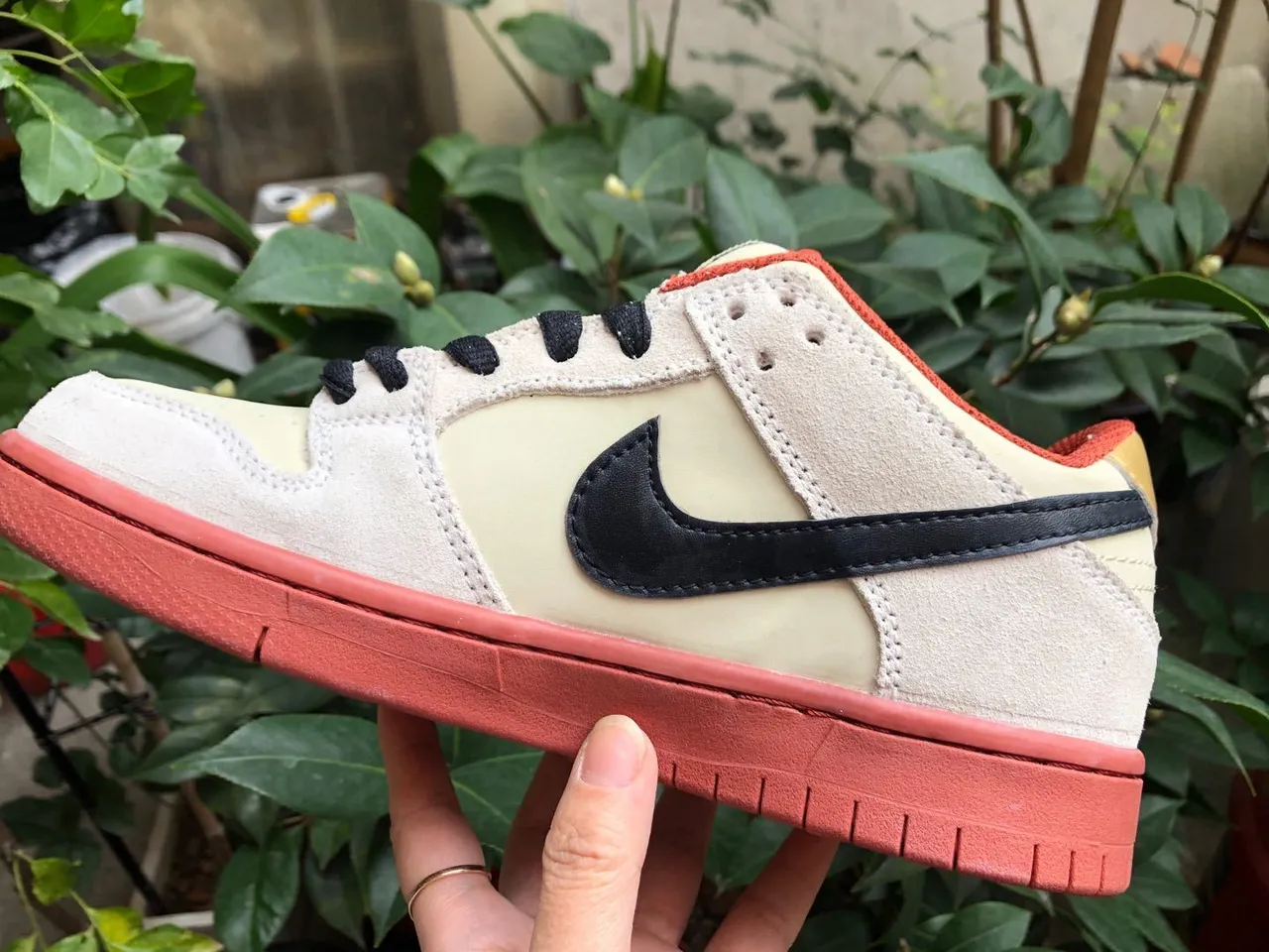 Nike SB Dunk Low Cream Black Coral Skateboard Shoes 2