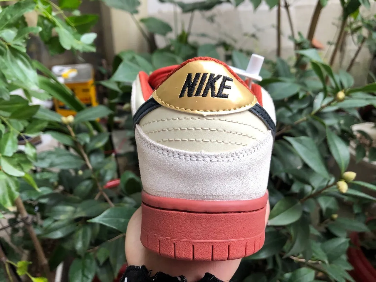 Nike SB Dunk Low Cream Black Coral Skateboard Shoes 4