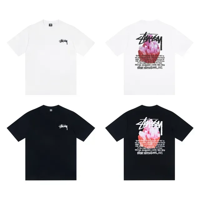Stussy Stock Logo ग्राफिक टी-शर्ट 2