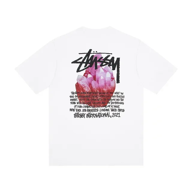 Stussy Stock Logo ग्राफिक टी-शर्ट 3